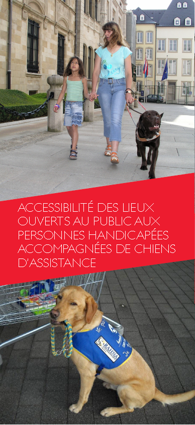 Couverture Dépliant Chiens d'assistance