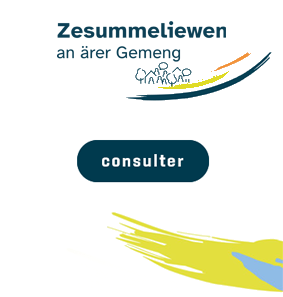 https://gemengen.zesummeliewen.lu/