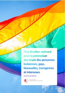 Plan d'action national pour la promotion des droits des personnes lesbiennes, gays, bisexuelles, transgenres et intersexes