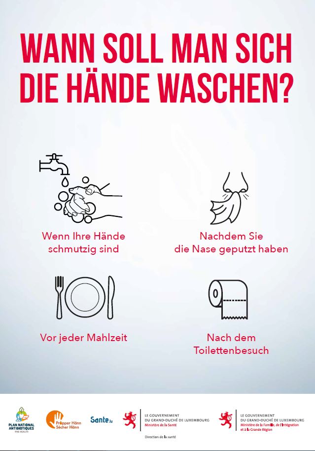 Link zum Poster im PDF-Format   (Jpeg, 77 KB)