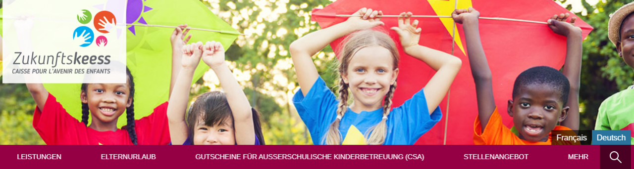 Internetseite der Zukunftskasse