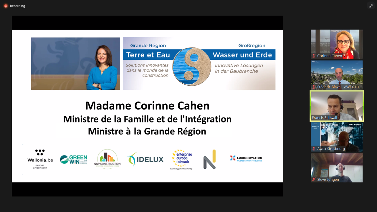 Capture d'écran du webinaire