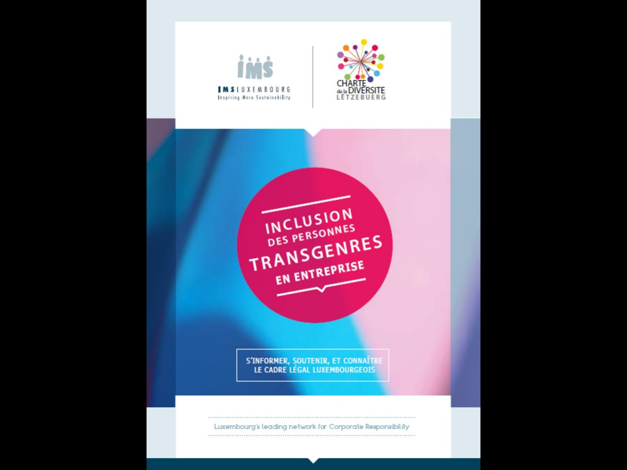 Guide to to the inclusion of transgender people in the workplace (French) (French, Pdf, 1.39 Mb) - New window