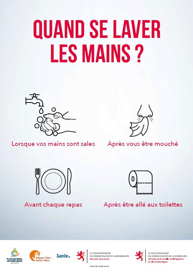 Lien vers l'affiche en PDF téléchargeable  (Jpeg, 67 Ko)